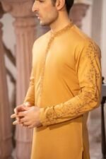 Premium Wash & Wear – Golden - Image 2